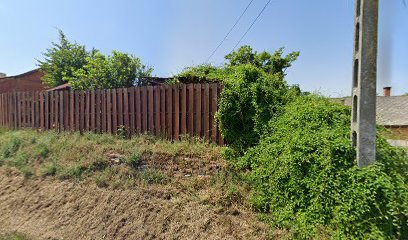 Elhanyagolt temetőkerítés, növényzettel benőve.