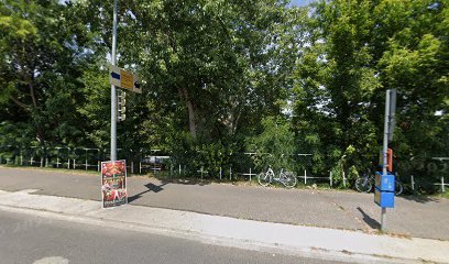 Temető környéke, zöld terület, kerítés, biciklik.
